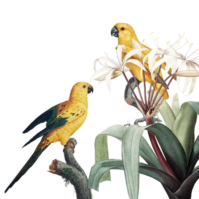 A watercolor painting of two yellow parrots perched on various flora