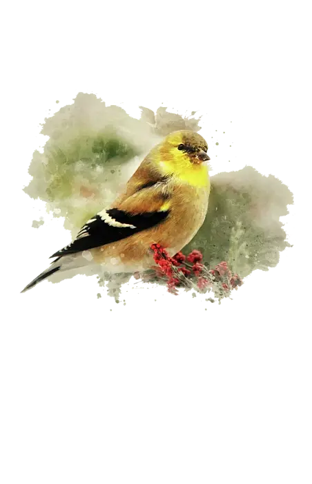 A watercolor painting of a goldfinch bird