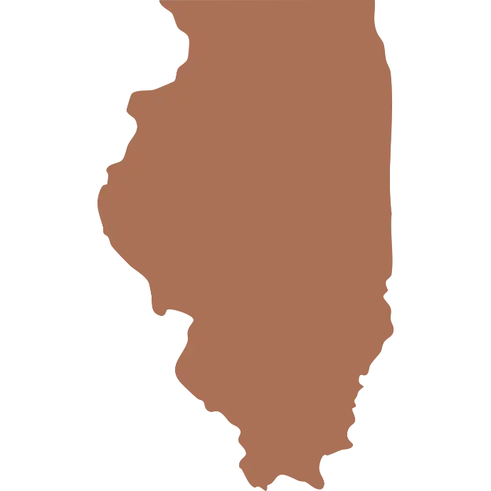 A silhouette map of Illinois, representing accessible virtual counseling and online therapy services across the state.